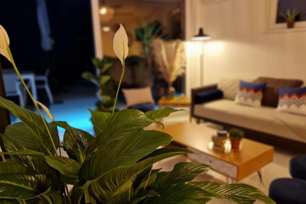 קולמר Suite Prestige Logement Neuf Avec Spa Et Ecran De Cinema En Rez De Jardin מראה חיצוני תמונה