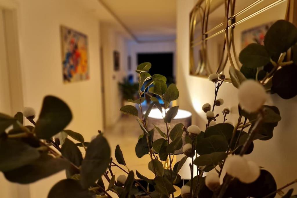 קולמר Suite Prestige Logement Neuf Avec Spa Et Ecran De Cinema En Rez De Jardin מראה חיצוני תמונה