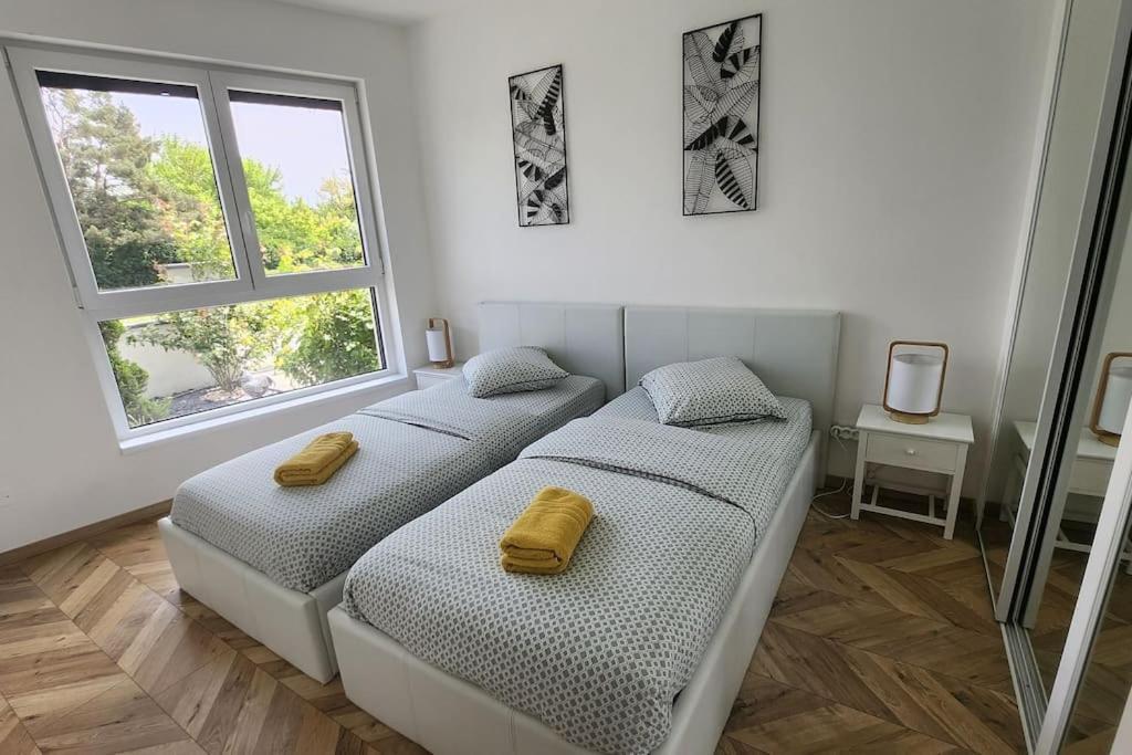 קולמר Suite Prestige Logement Neuf Avec Spa Et Ecran De Cinema En Rez De Jardin מראה חיצוני תמונה